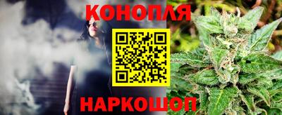 Альфа ПВП Лесосибирск